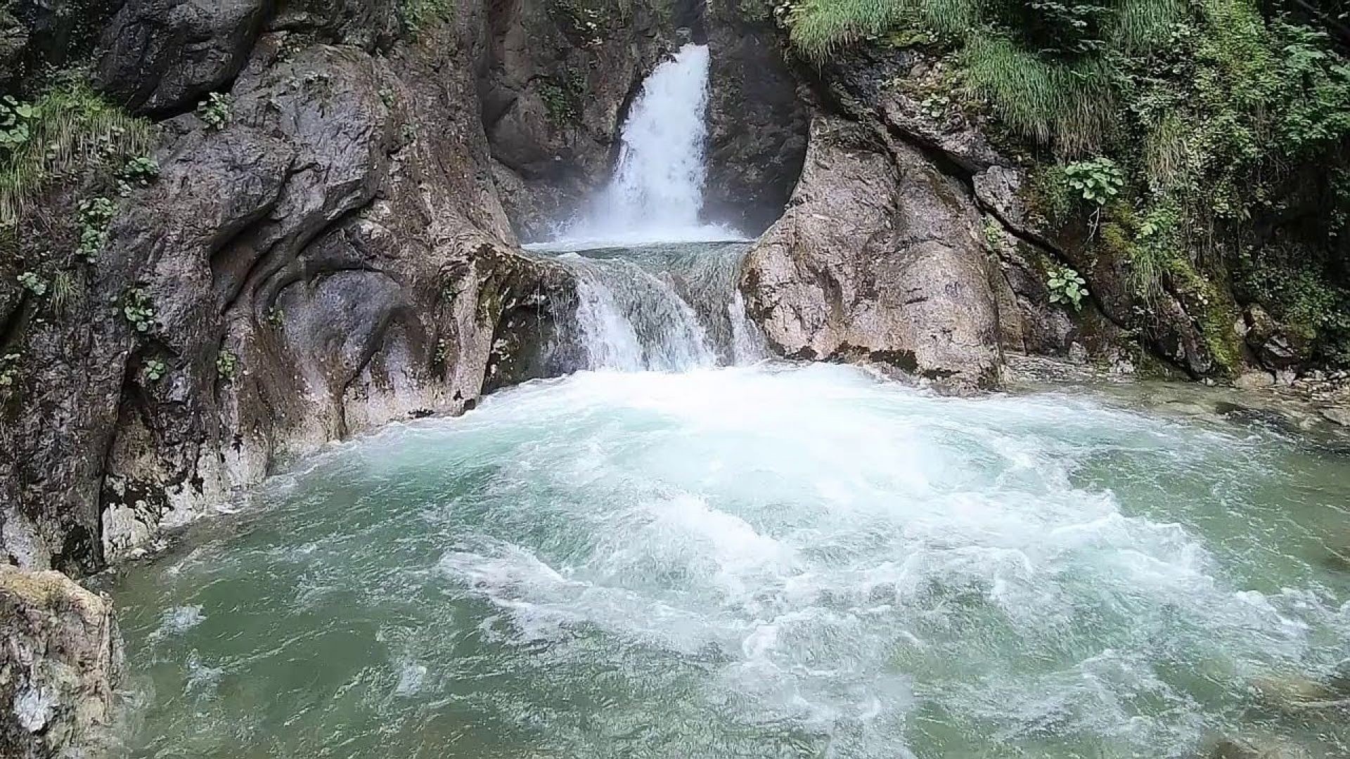 Alaçam Samsun KaradenizTiwi